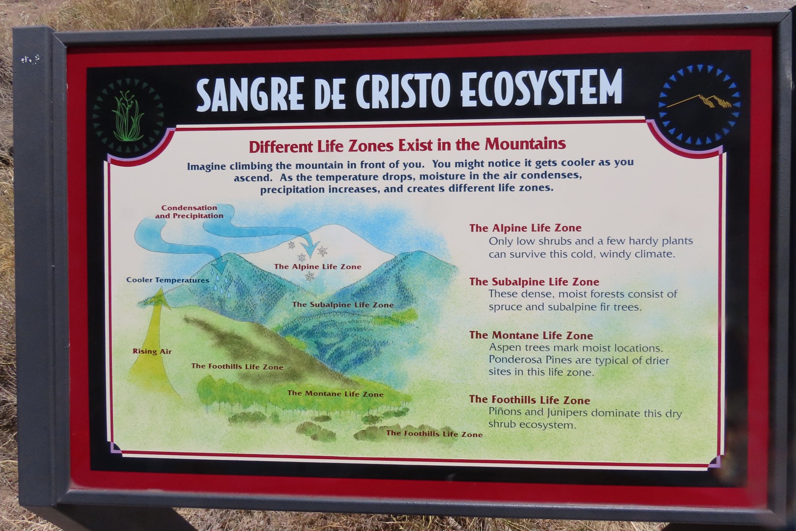 Great Sand Dune National Park Visitor Center 13 of 24 (#3528)