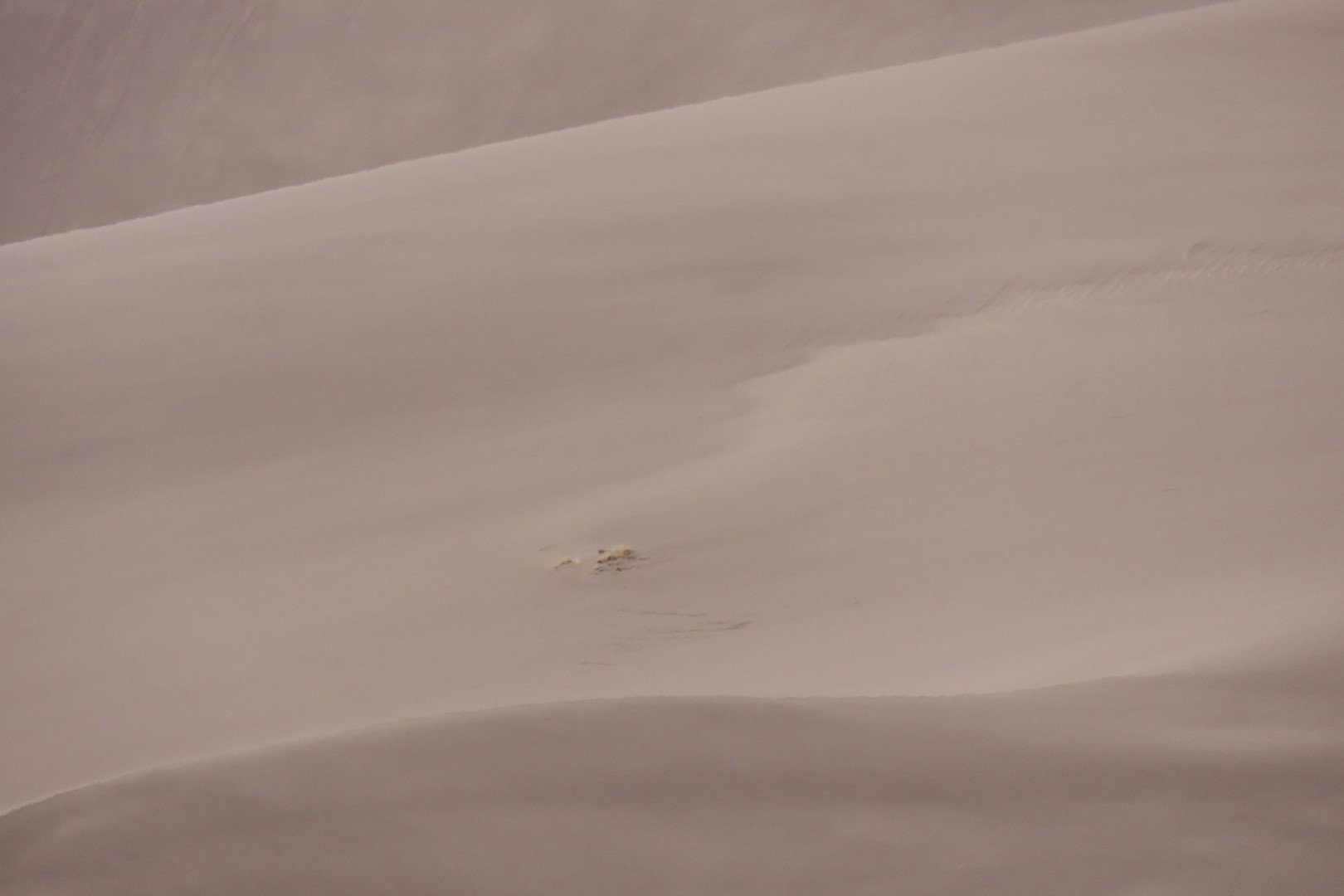 Great Sand Dune National Park Visitor Center 17 of 24 (#3532)