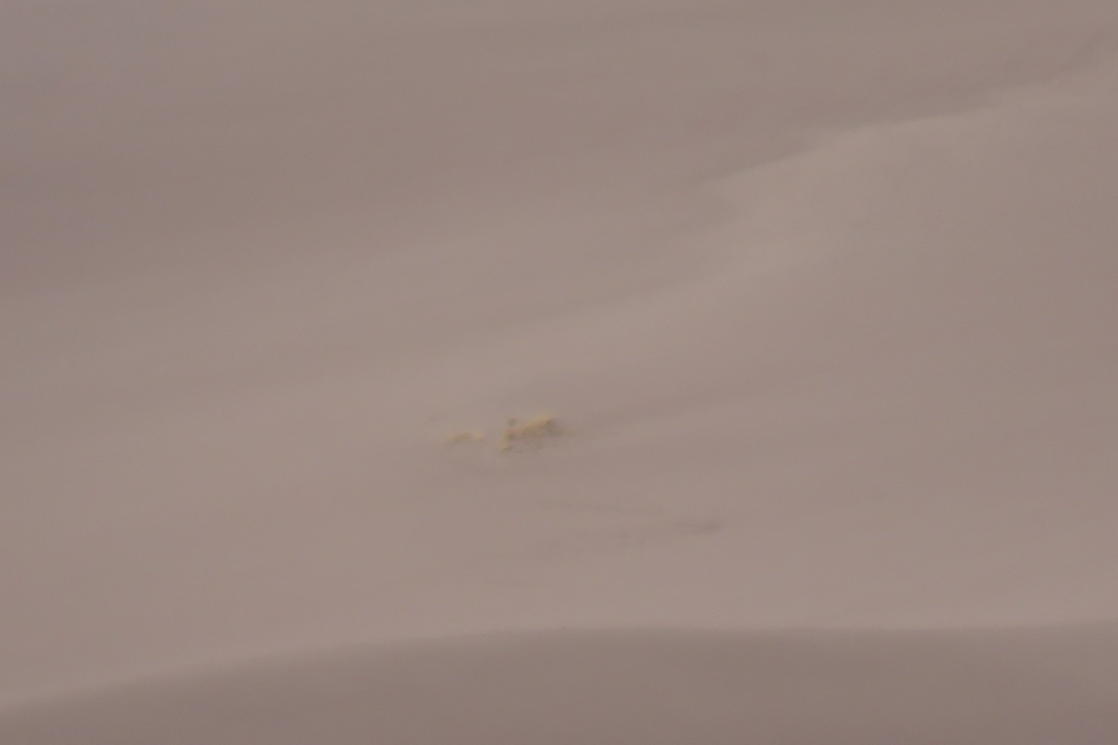 Great Sand Dune National Park Visitor Center 18 of 24 (#3533)