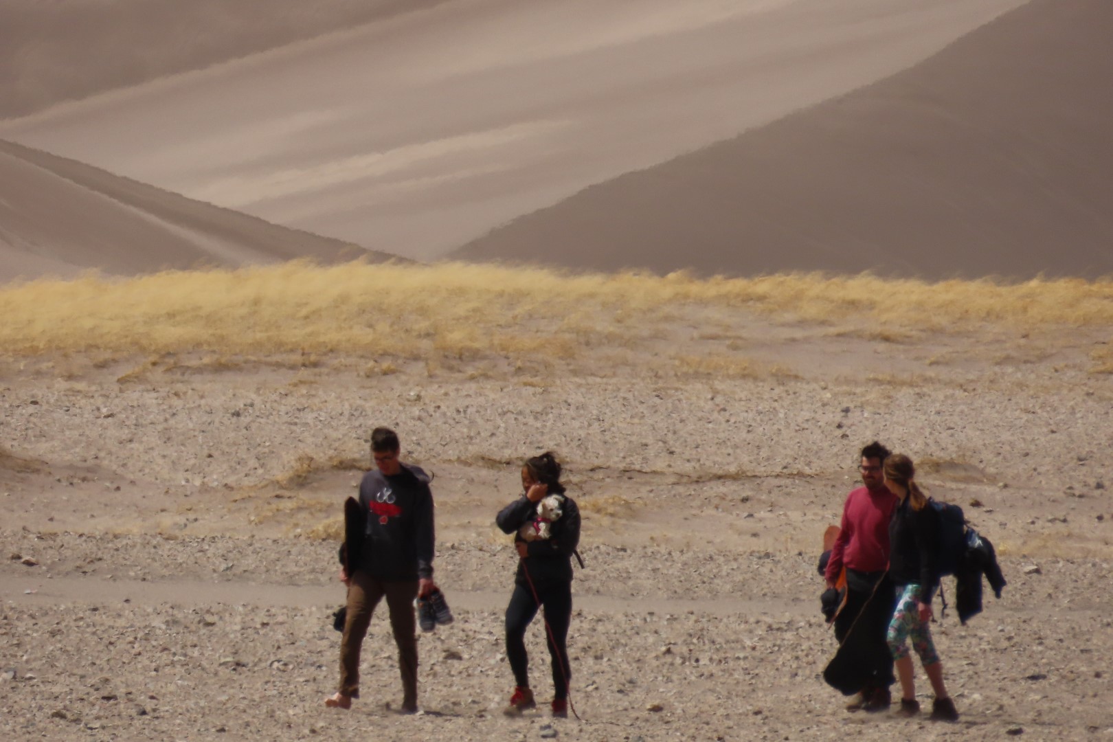 Great Sand Dune National Park Visitor Center 20 of 24 (#3536)