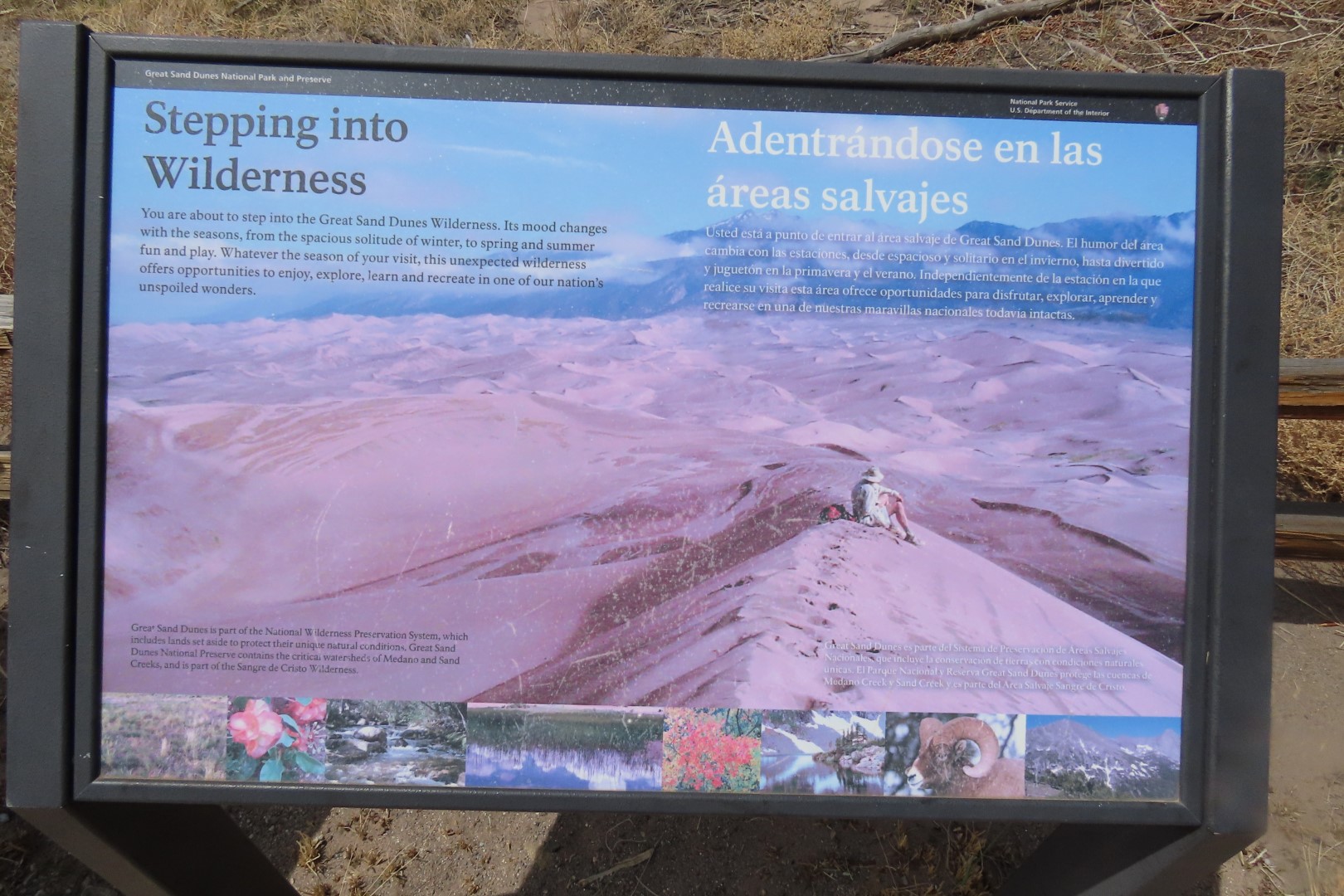 Great Sand Dune National Park Visitor Center 23 of 24 (#3541)