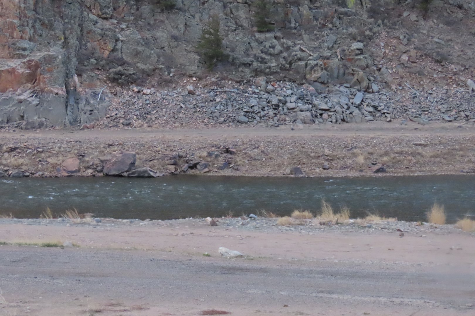 Curecanti National Park Visitor Center 10 of 12 (#3553)