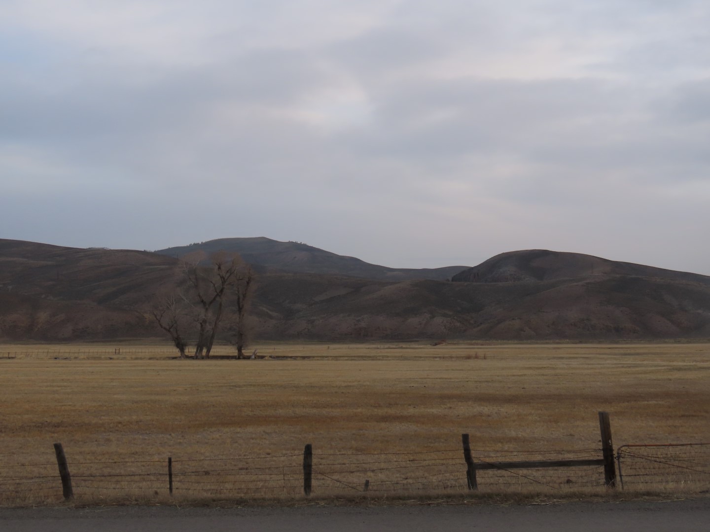 Along highways between Gunnison and Bailey CO  1 of  9 (#3560)