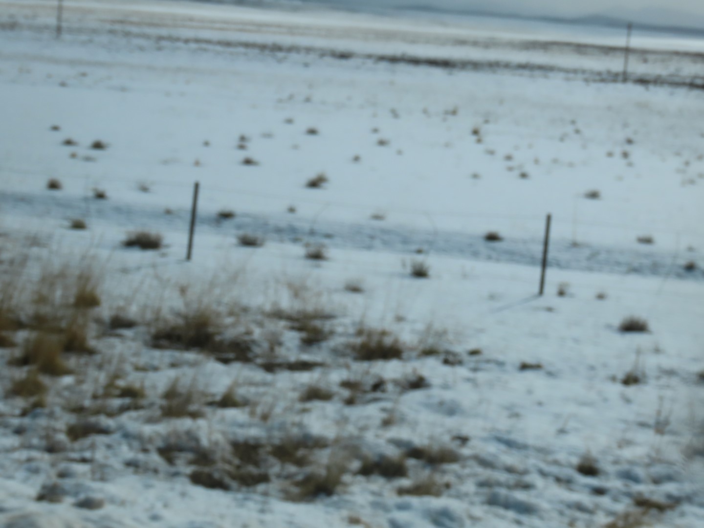 Along highways between Gunnison and Bailey CO  6 of  9 (#3565)