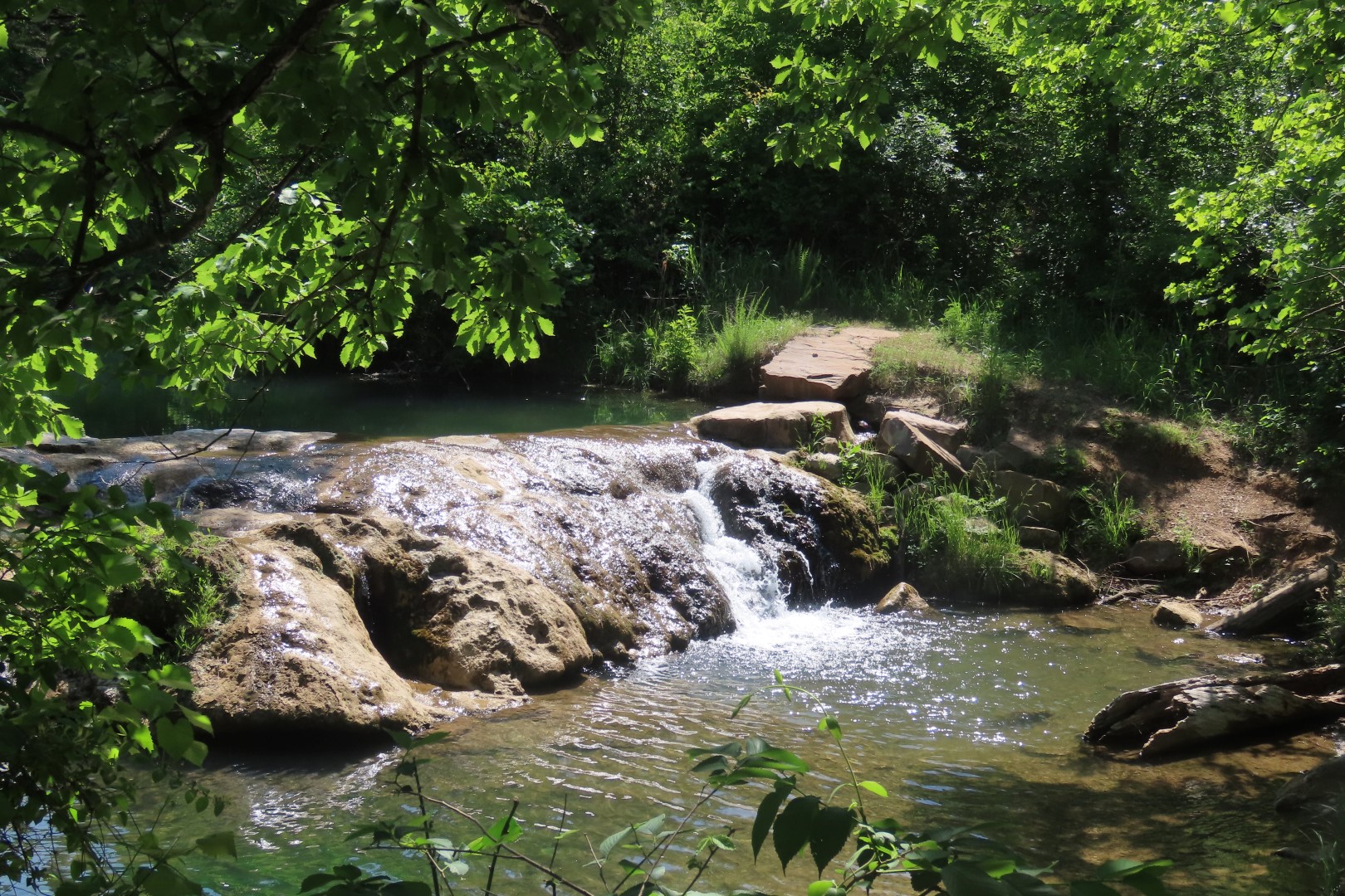 Chickasaw National Park NP  5 of  8 (#3587)