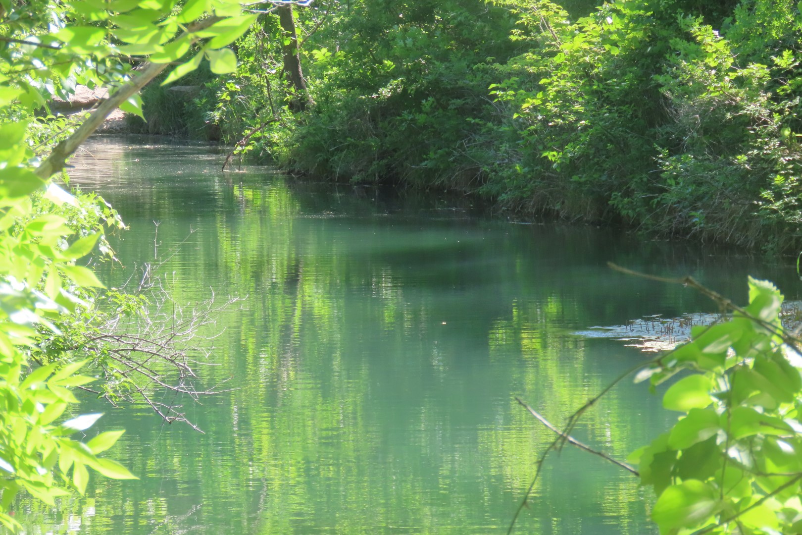 Chickasaw National Park NP  6 of  8 (#3588)