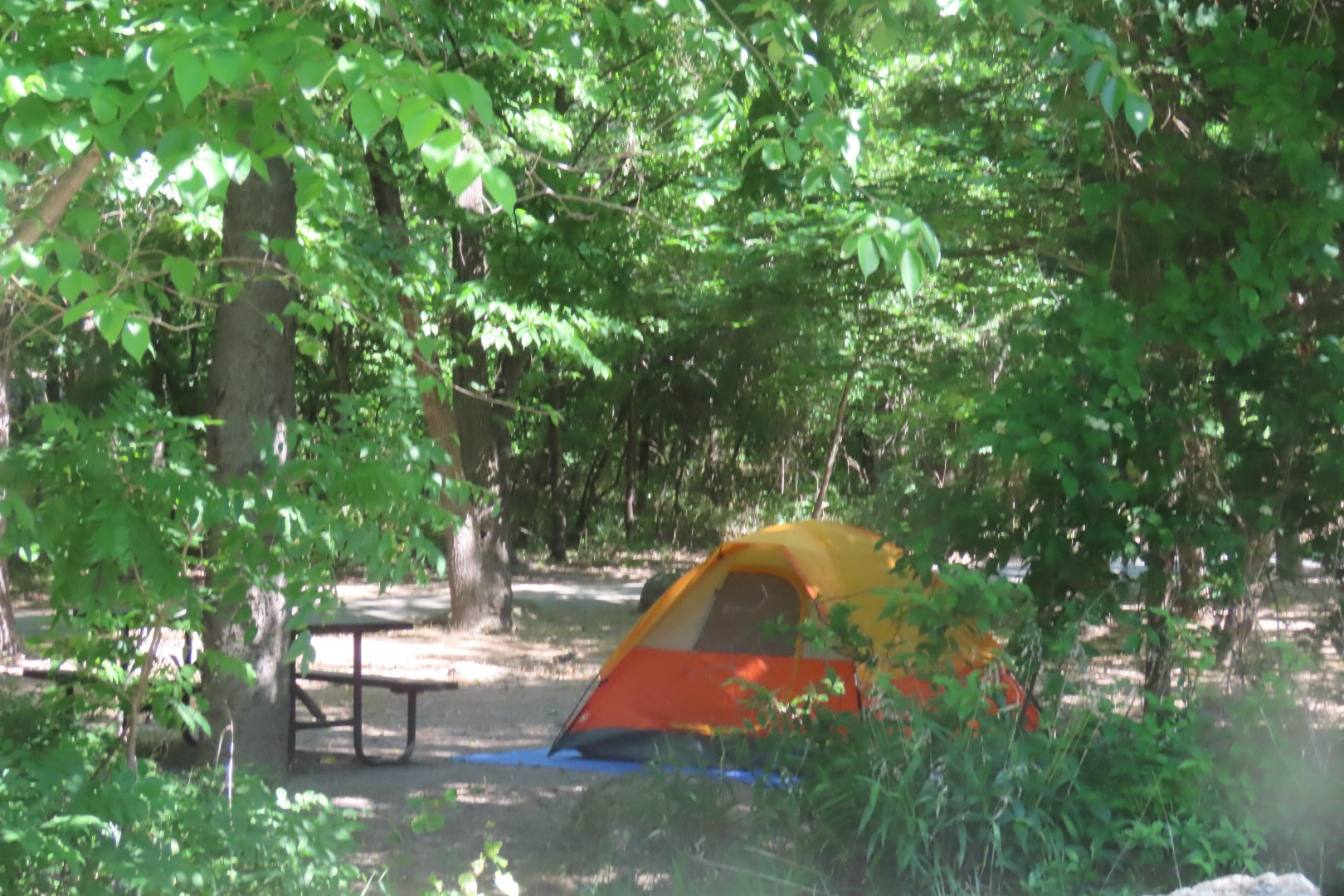 Chickasaw National Park NP  7 of  8 (#3589)