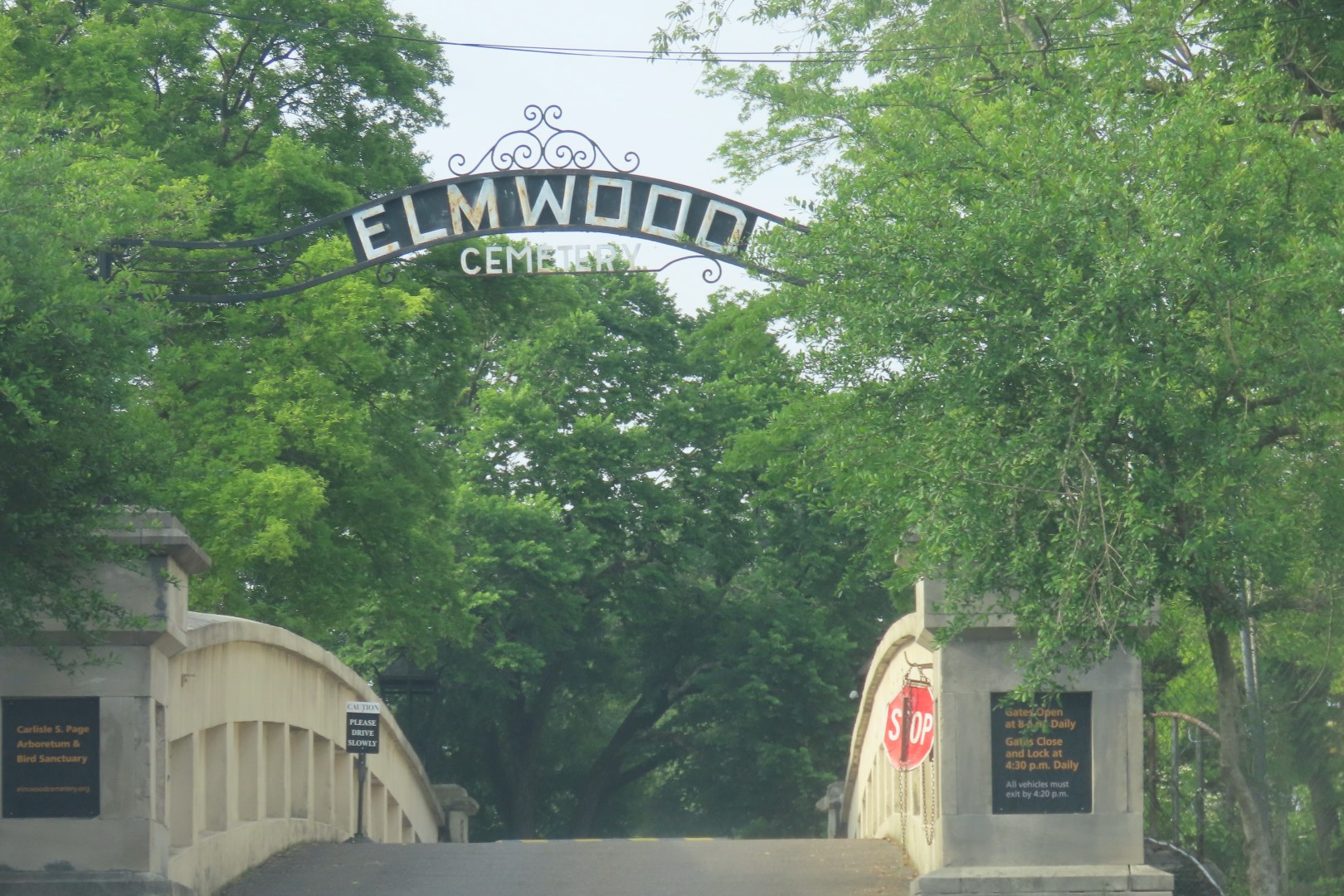 Memphis Elmwood Cemetery ry  1 of  8 (#3594)