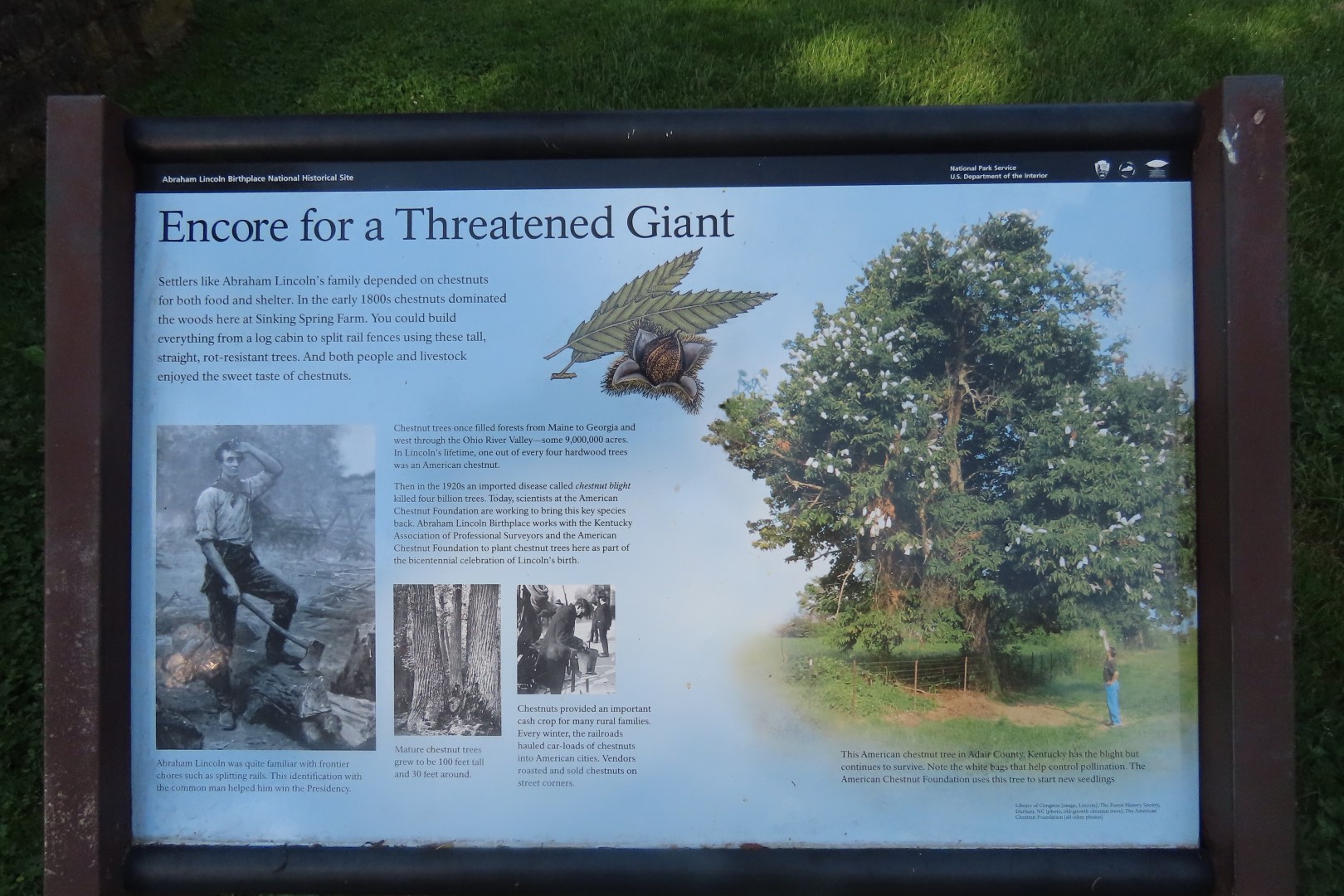 Lincoln Birth Place National Park  5 of 19 (#3625)