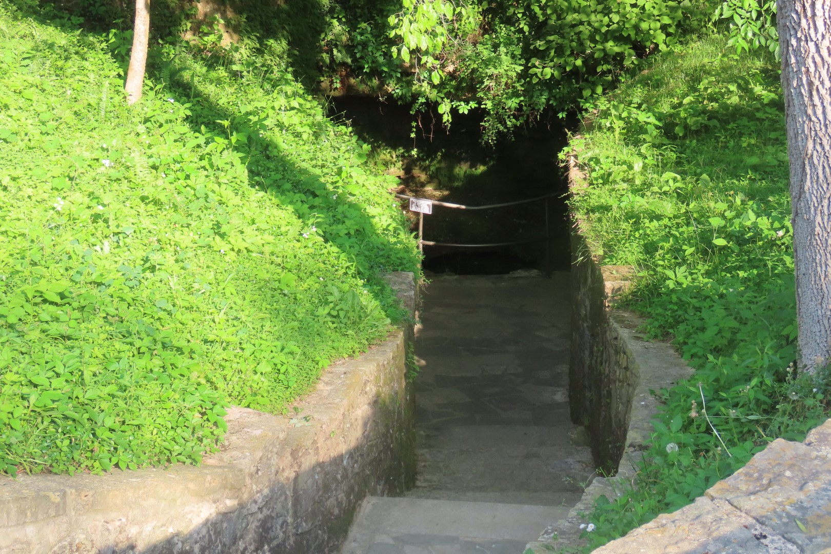 Lincoln Birth Place National Park  8 of 19 (#3628)