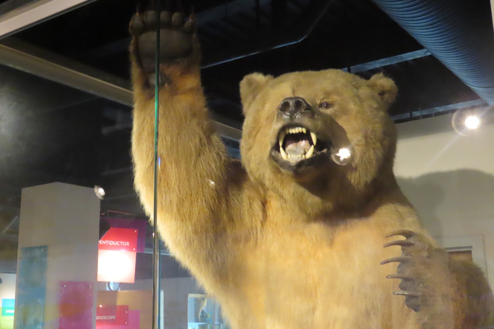 Southwest Indiana IN  3 of 68 (#3645)