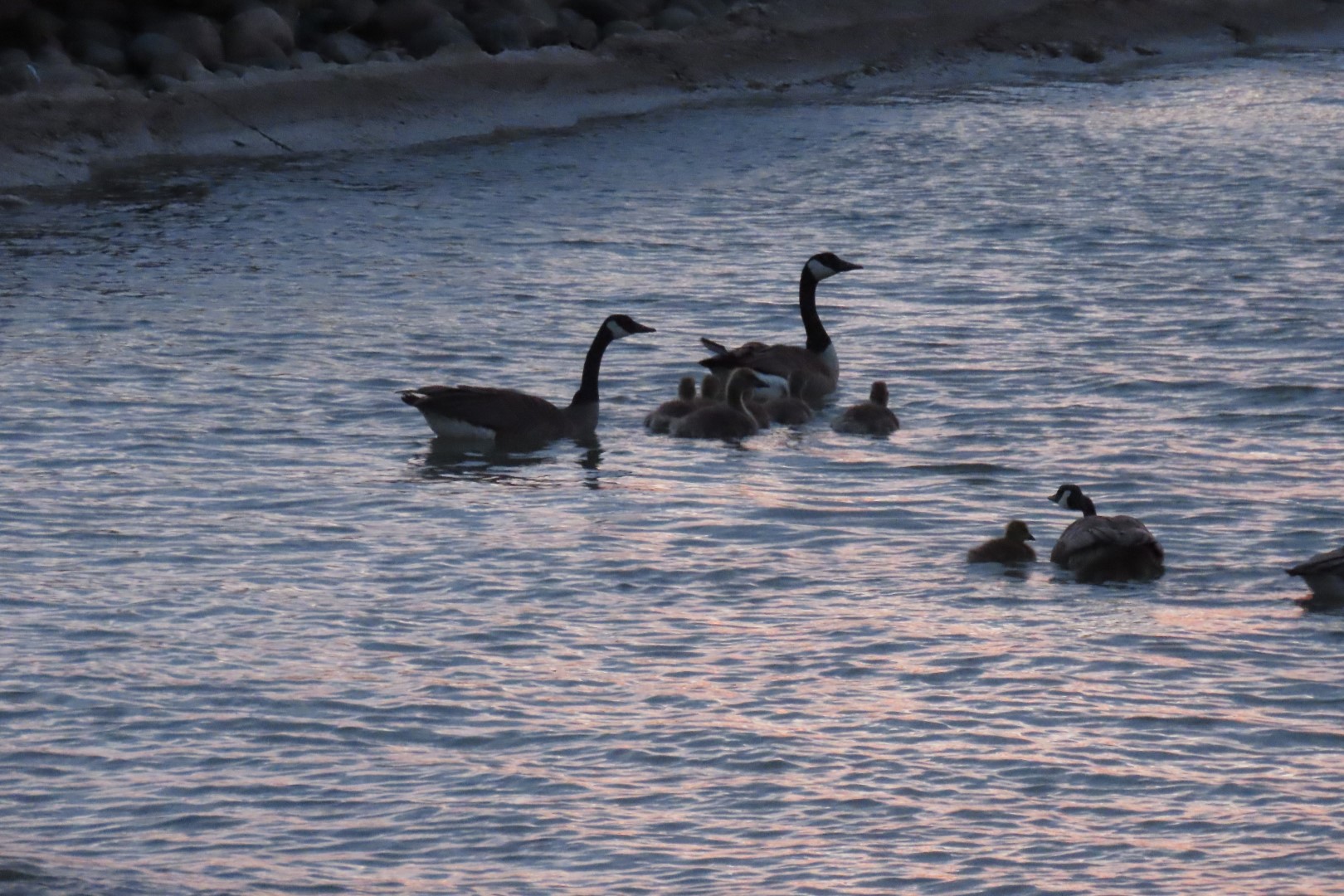 Cloudy Sunrise at Port Hope at the 