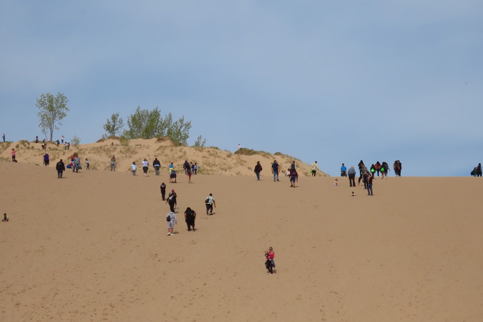 Sleeping Bear Sand Dune National Park NP  2 of 10 (#3885)