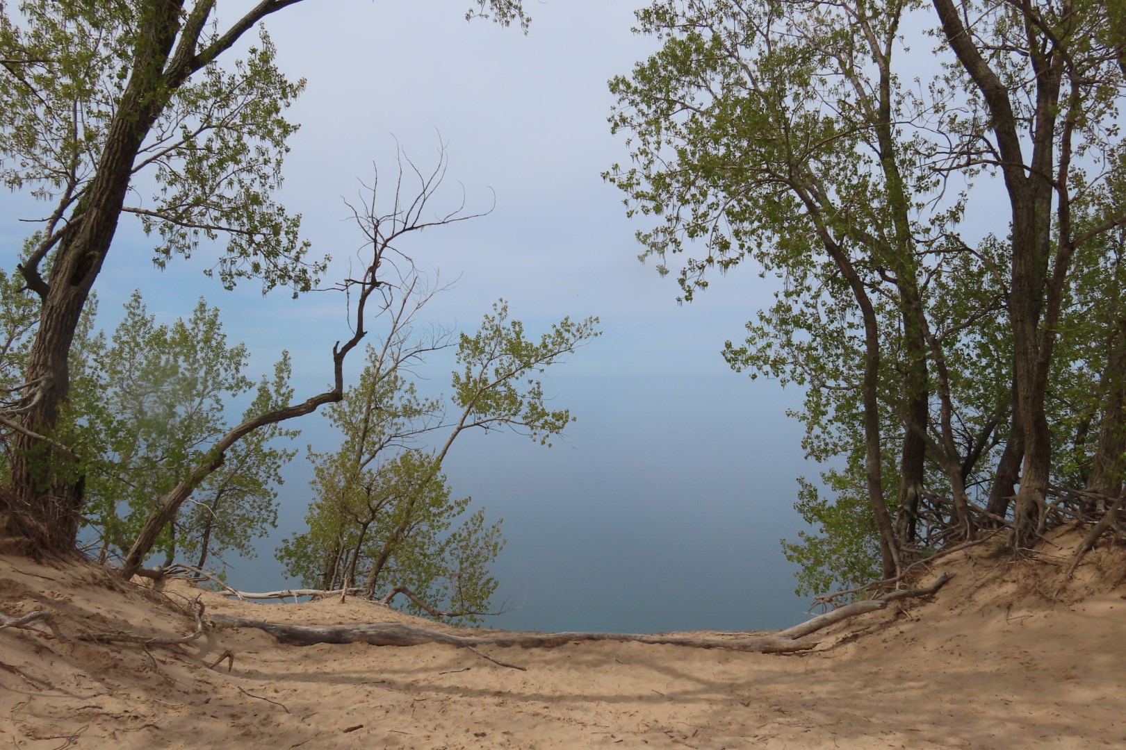 Sleeping Bear Sand Dune National Park NP  7 of 12 (#3913)