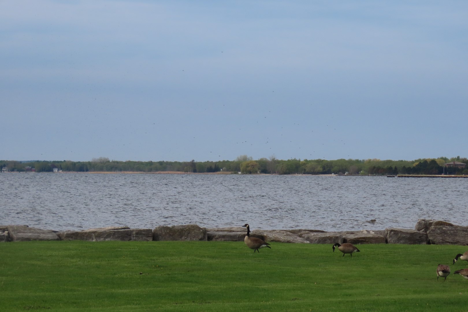 Alpena  3 of 31 (#3929)