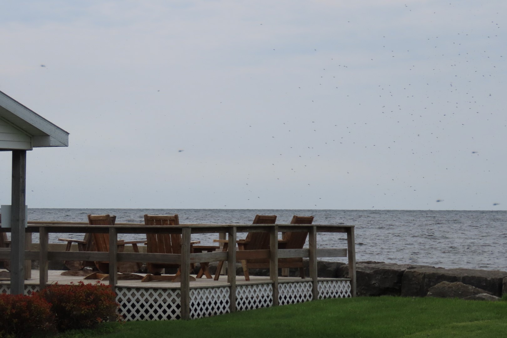 Alpena  4 of 31 (#3931)