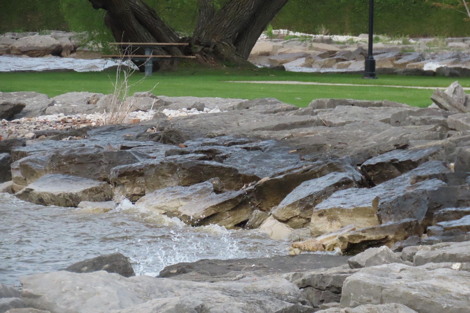 Alpena  7 of 31 (#3934)