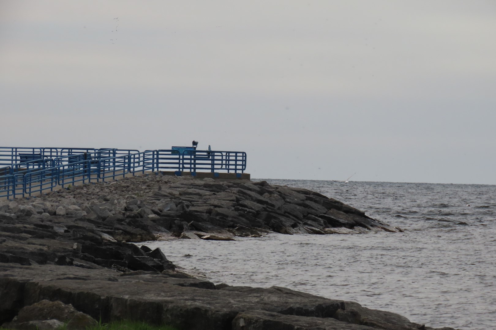 Alpena 12 of 31 (#3939)