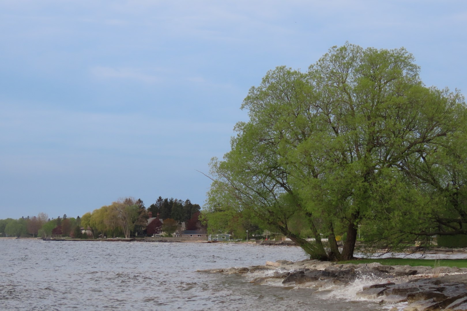 Alpena 13 of 31 (#3940)