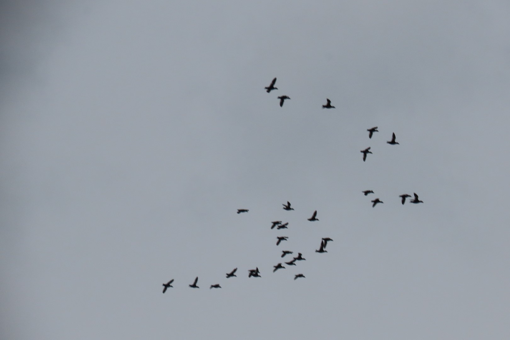 Alpena 20 of 31 (#3948)