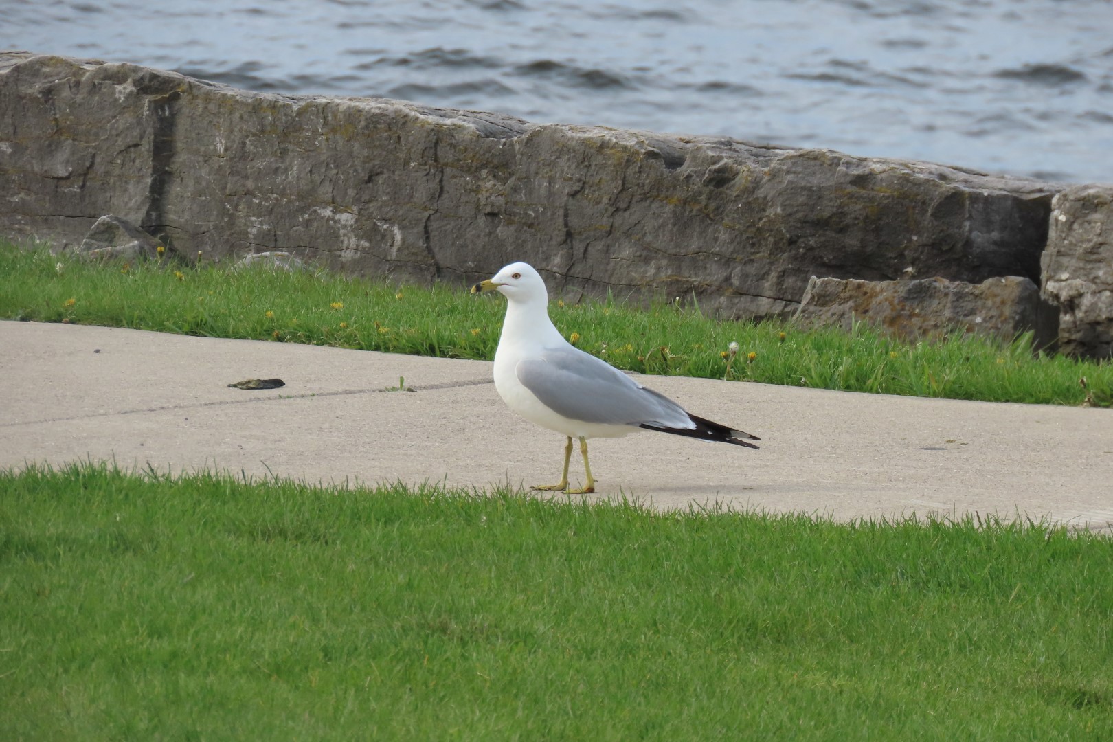 Alpena 22 of 31 (#3951)