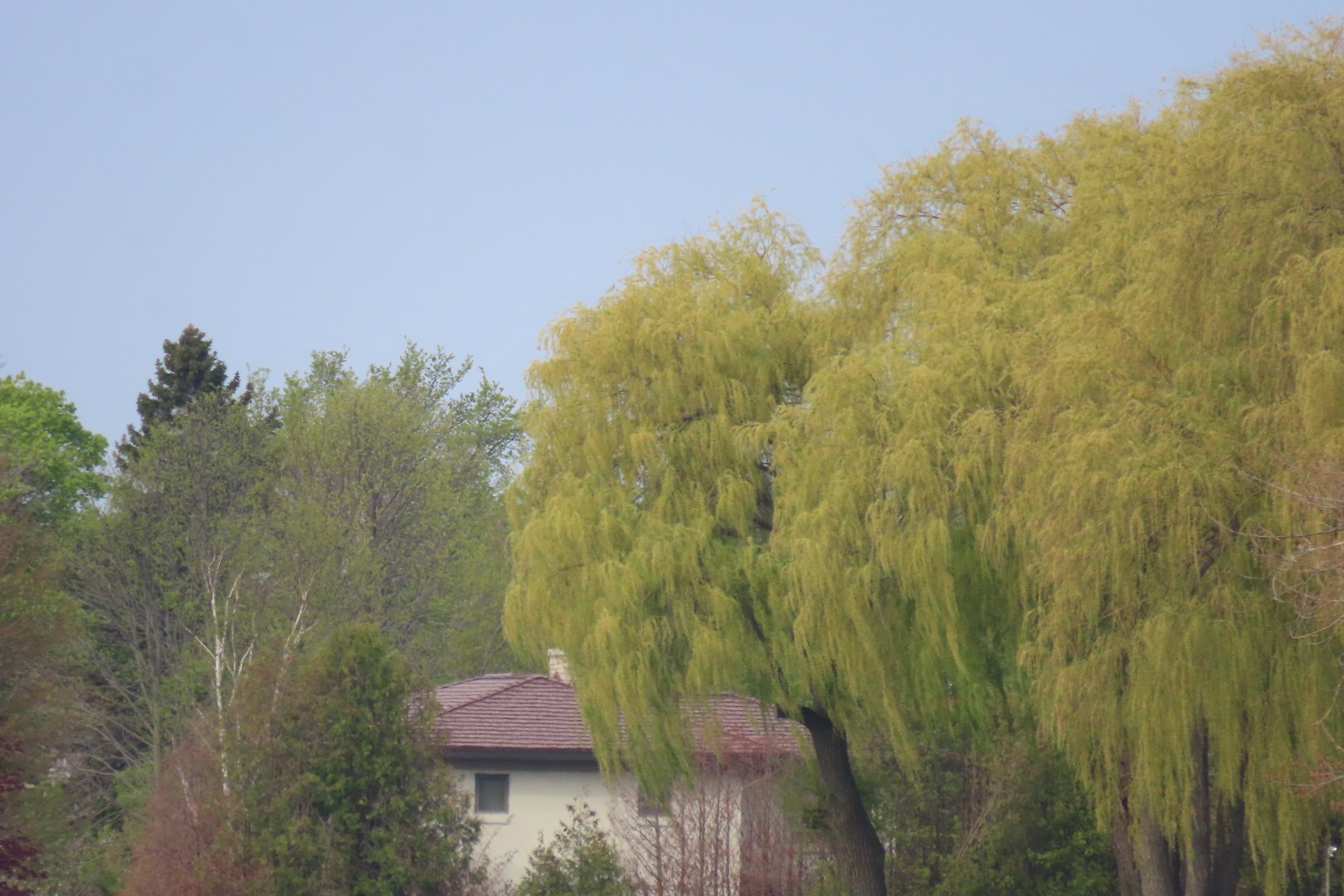 Alpena 30 of 31 (#3959)