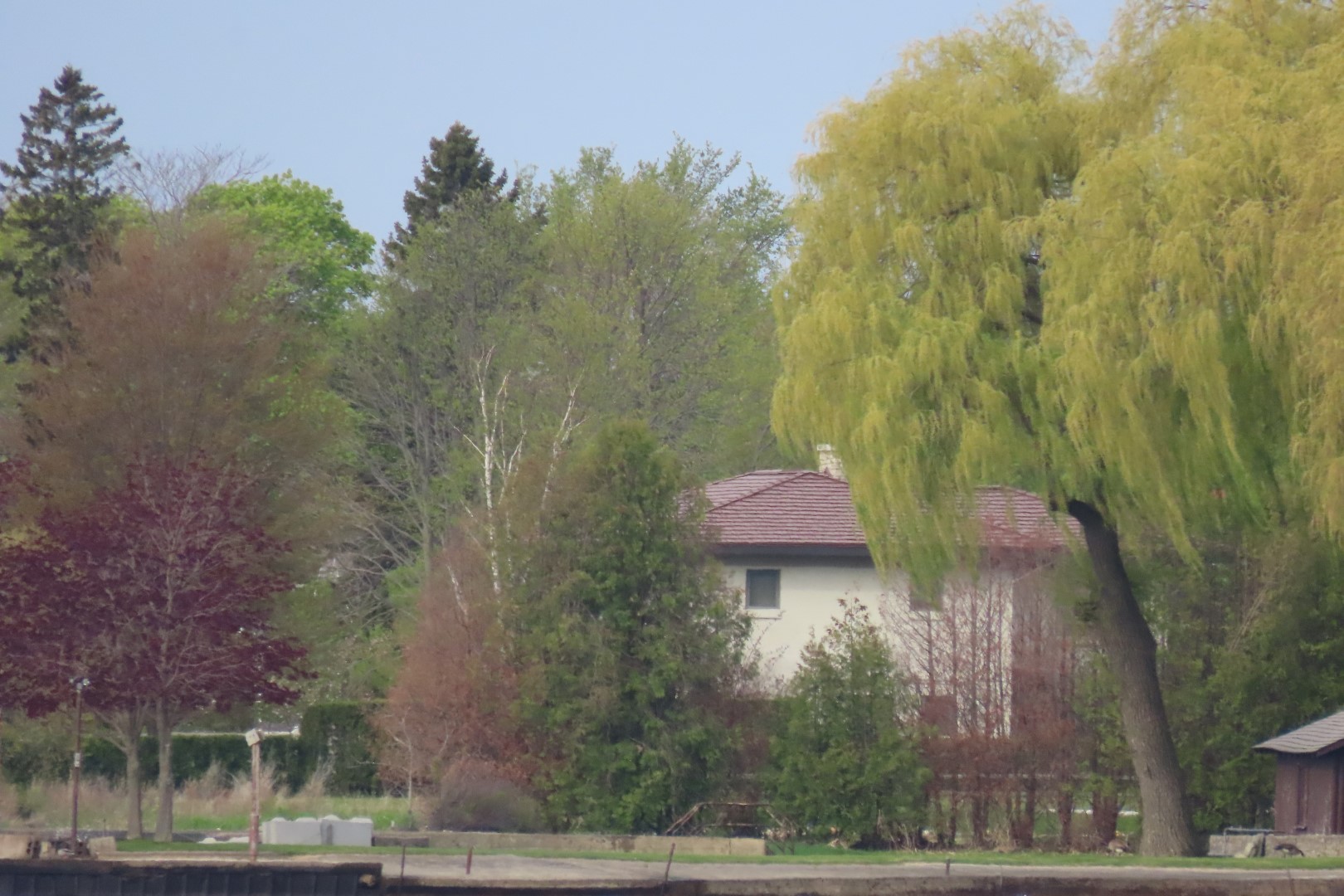 Alpena 31 of 31 (#3960)