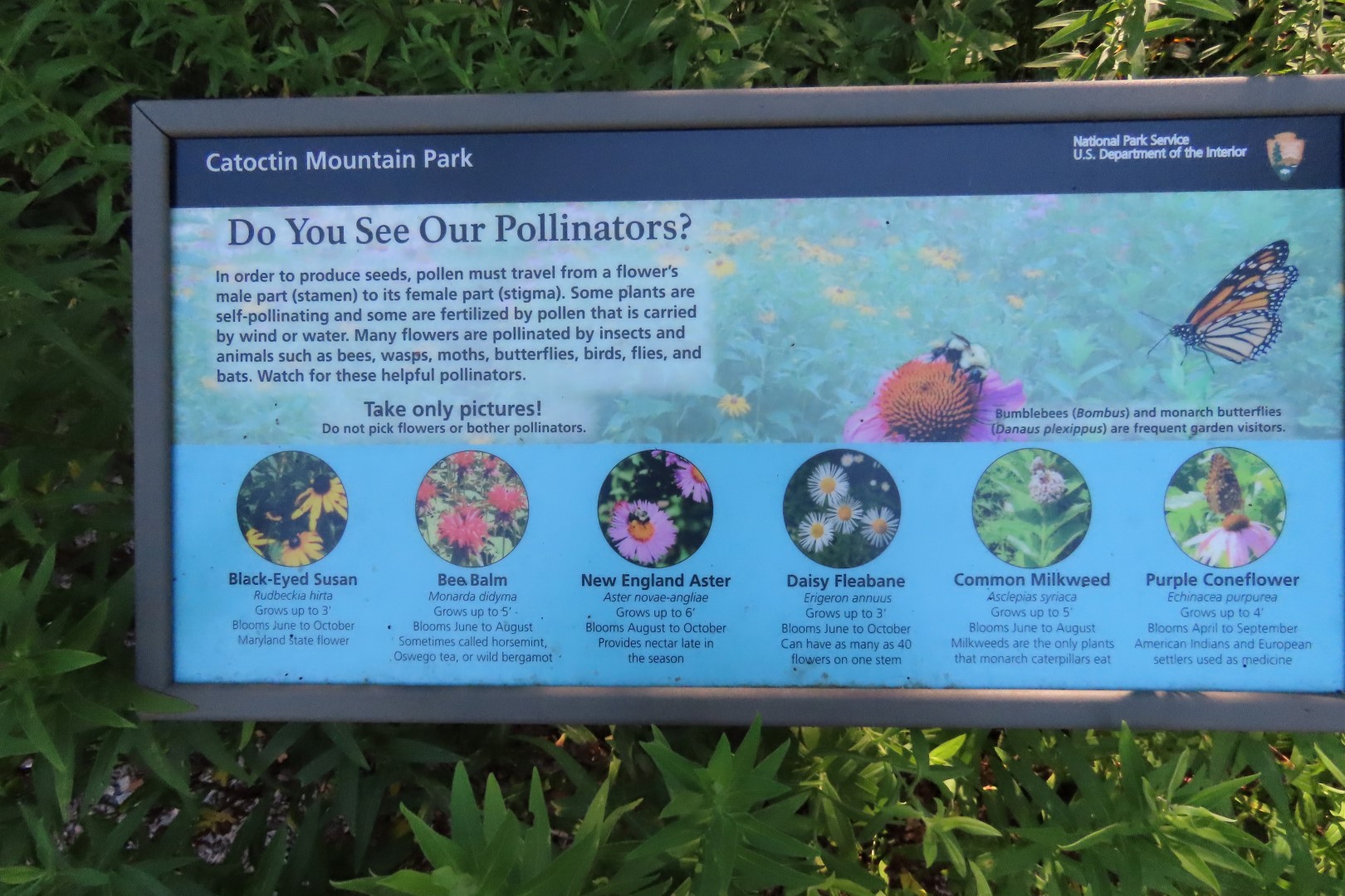 Catoctin National Park MD  4 of 15 (#4116)