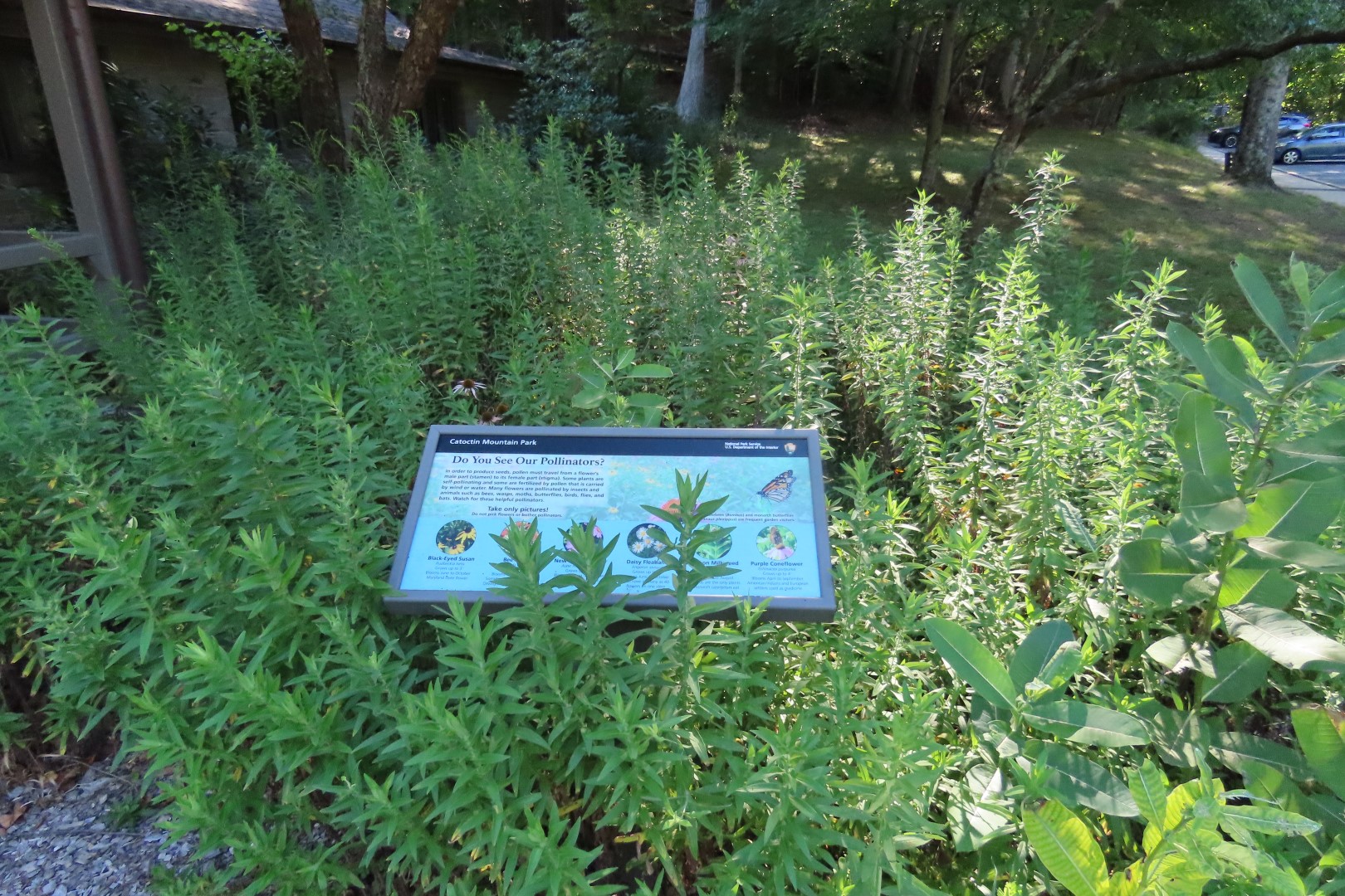 Catoctin National Park MD  5 of 15 (#4117)