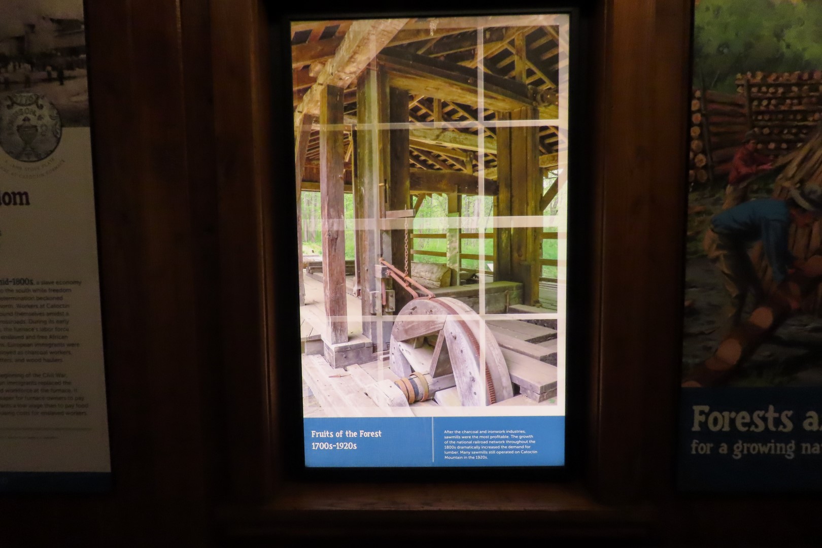 Catoctin National Park MD 10 of 15 (#4122)