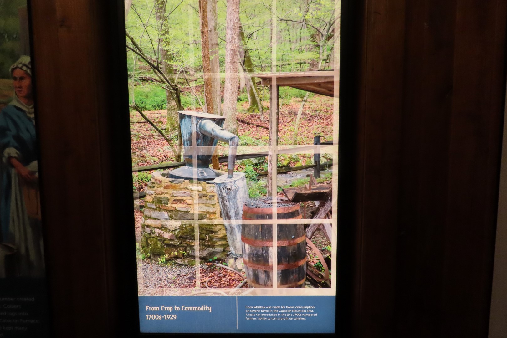Catoctin National Park MD 11 of 15 (#4123)