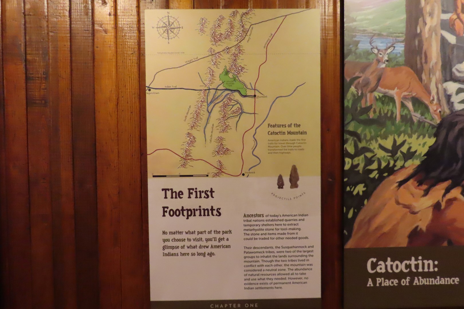 Catoctin National Park MD 12 of 15 (#4124)