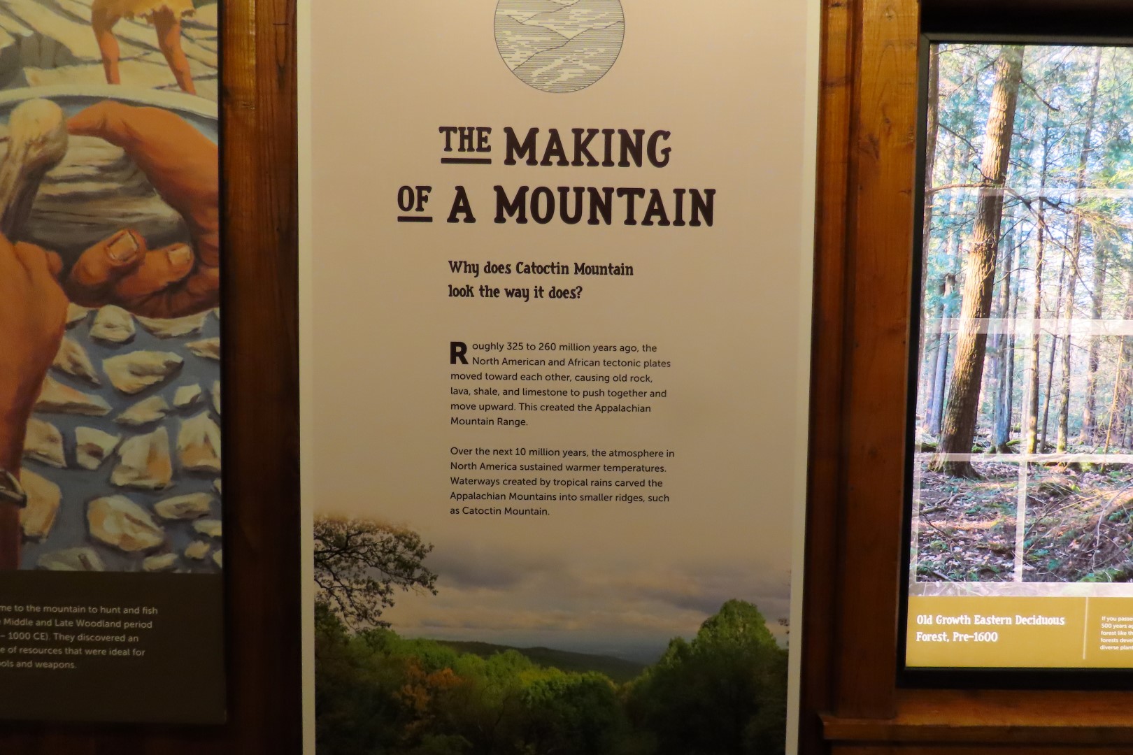 Catoctin National Park MD 13 of 15 (#4125)