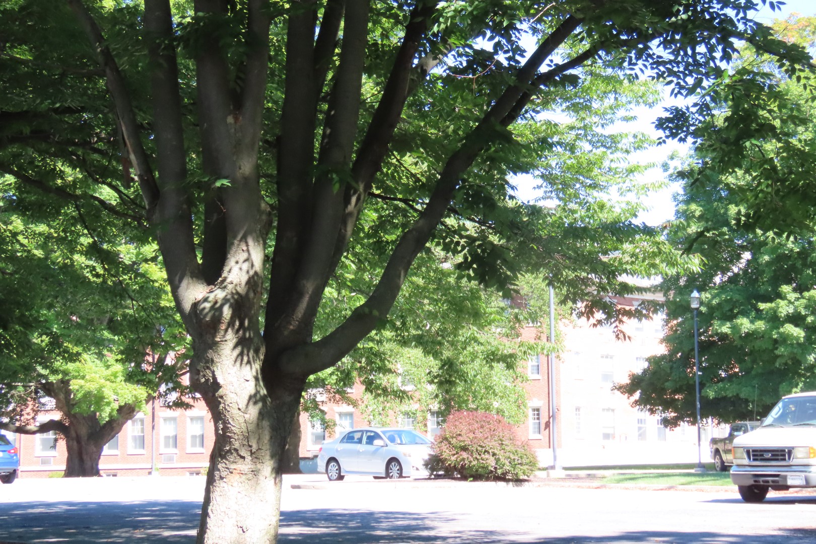 Wilson College in Chambersburg PA  3 of  4 (#4137)