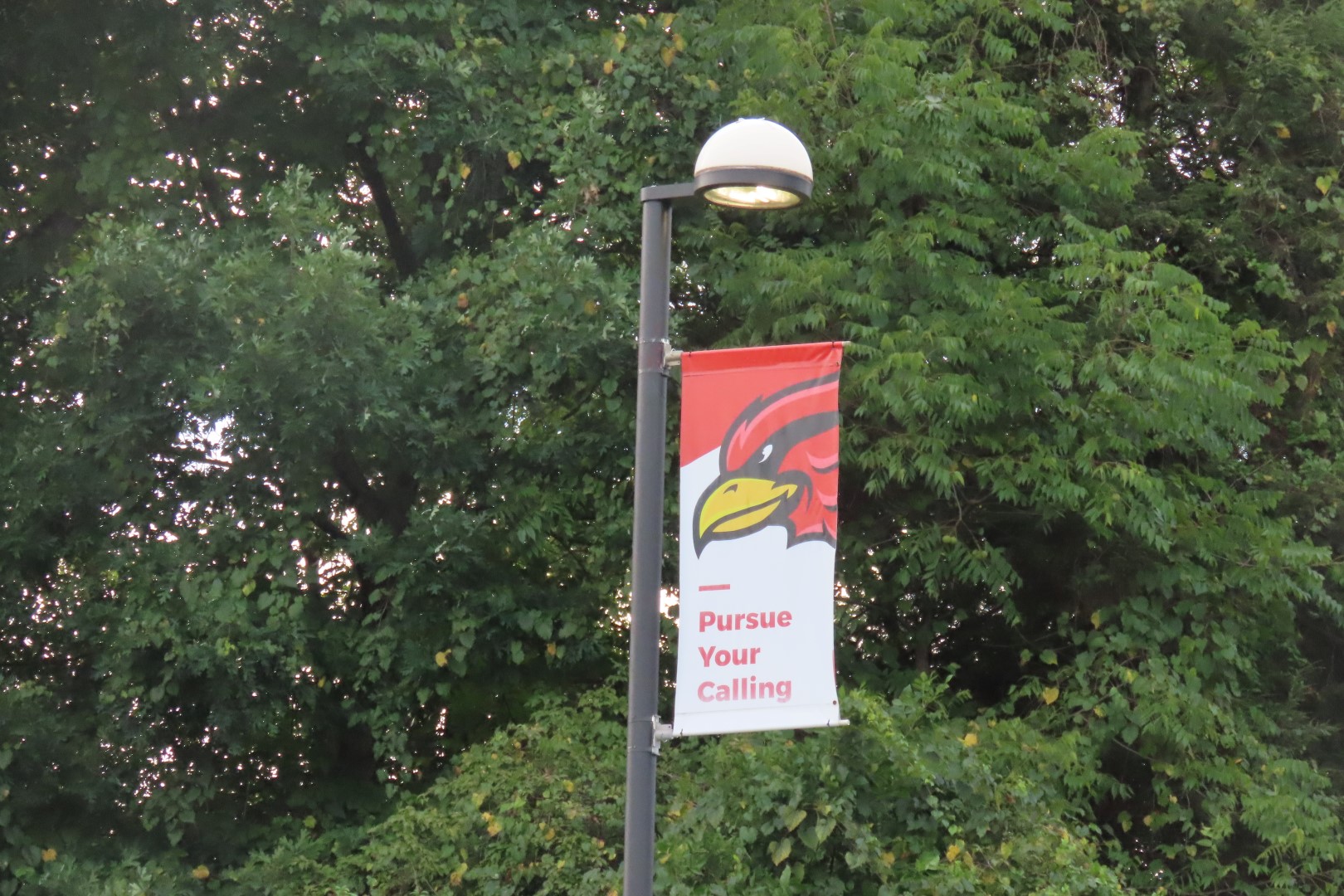 Wheeling University WV  4 of  4 (#4181)