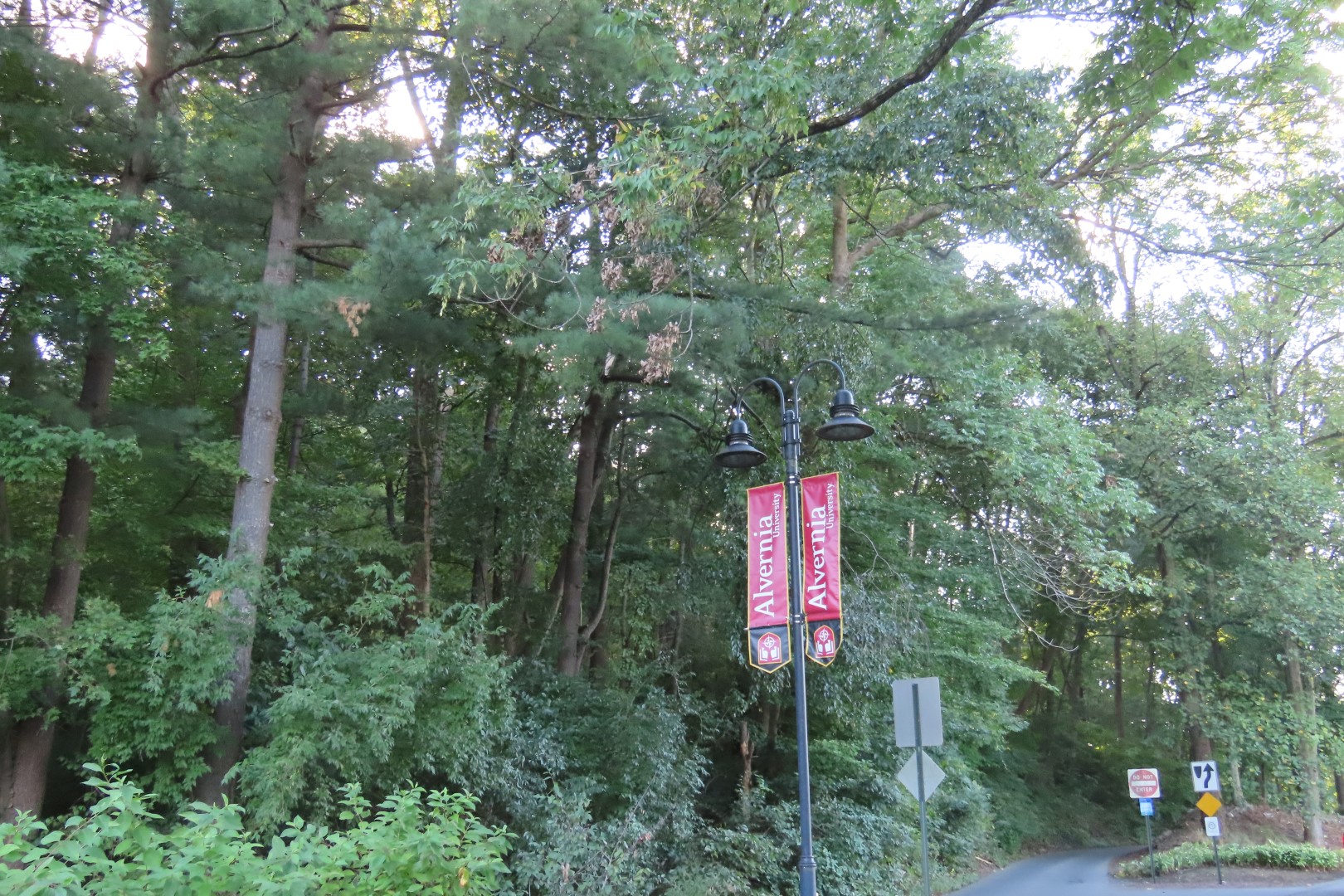 Alvernia University in Reading PA  2 of  4 (#4355)