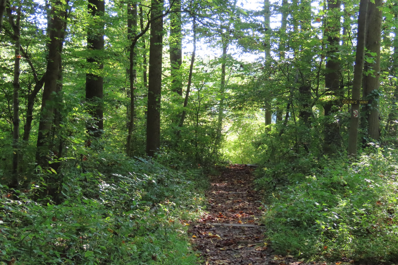 Hopewell Furnace National Park PA 20 of 52 (#4376)