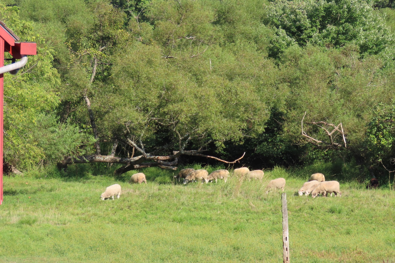 Hopewell Furnace National Park PA 29 of 52 (#4389)