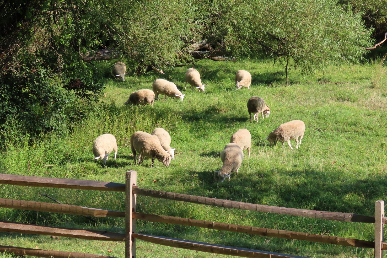 Hopewell Furnace National Park PA 33 of 52 (#4402)