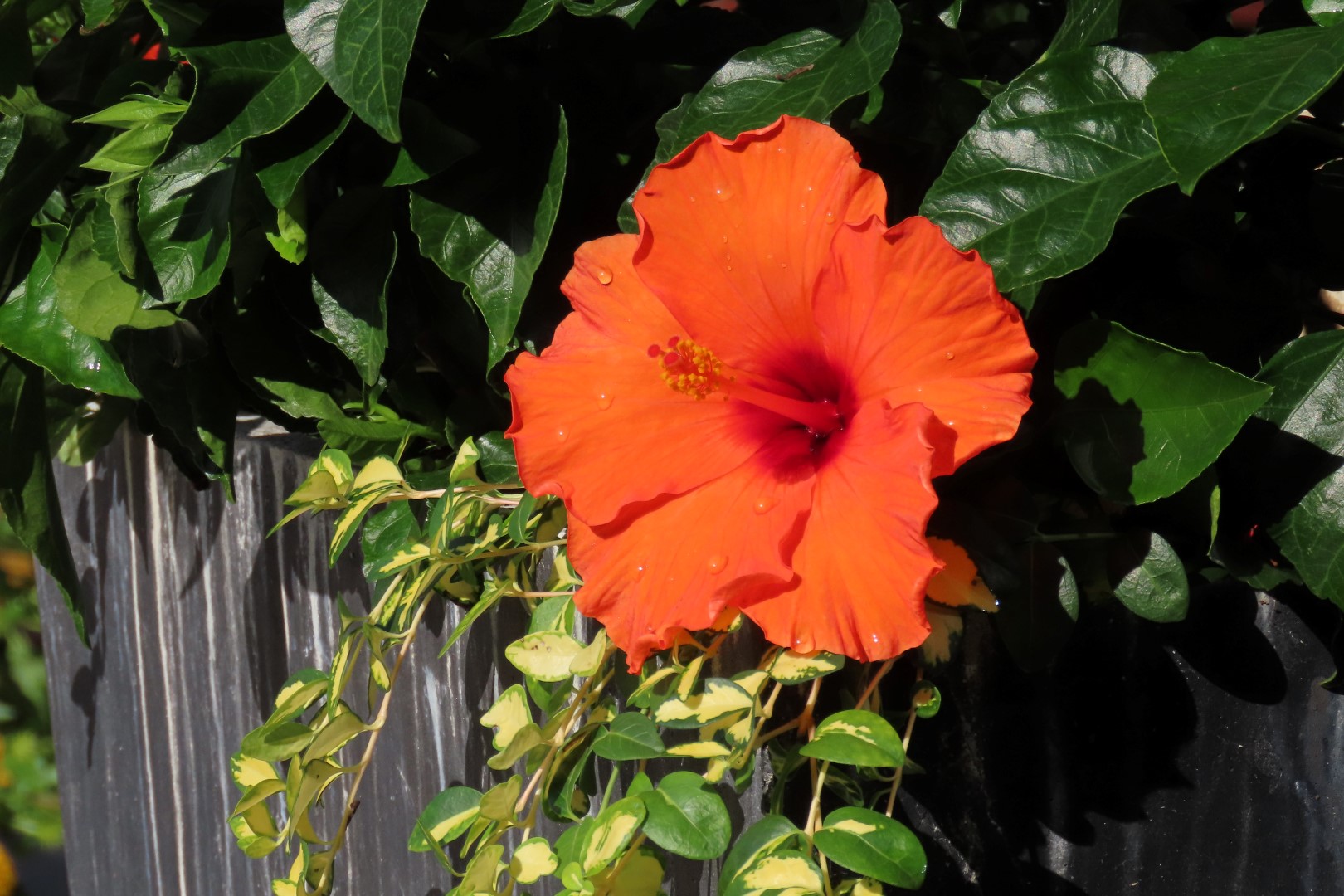 Lancaster County PA  3 of  3 (#4505)