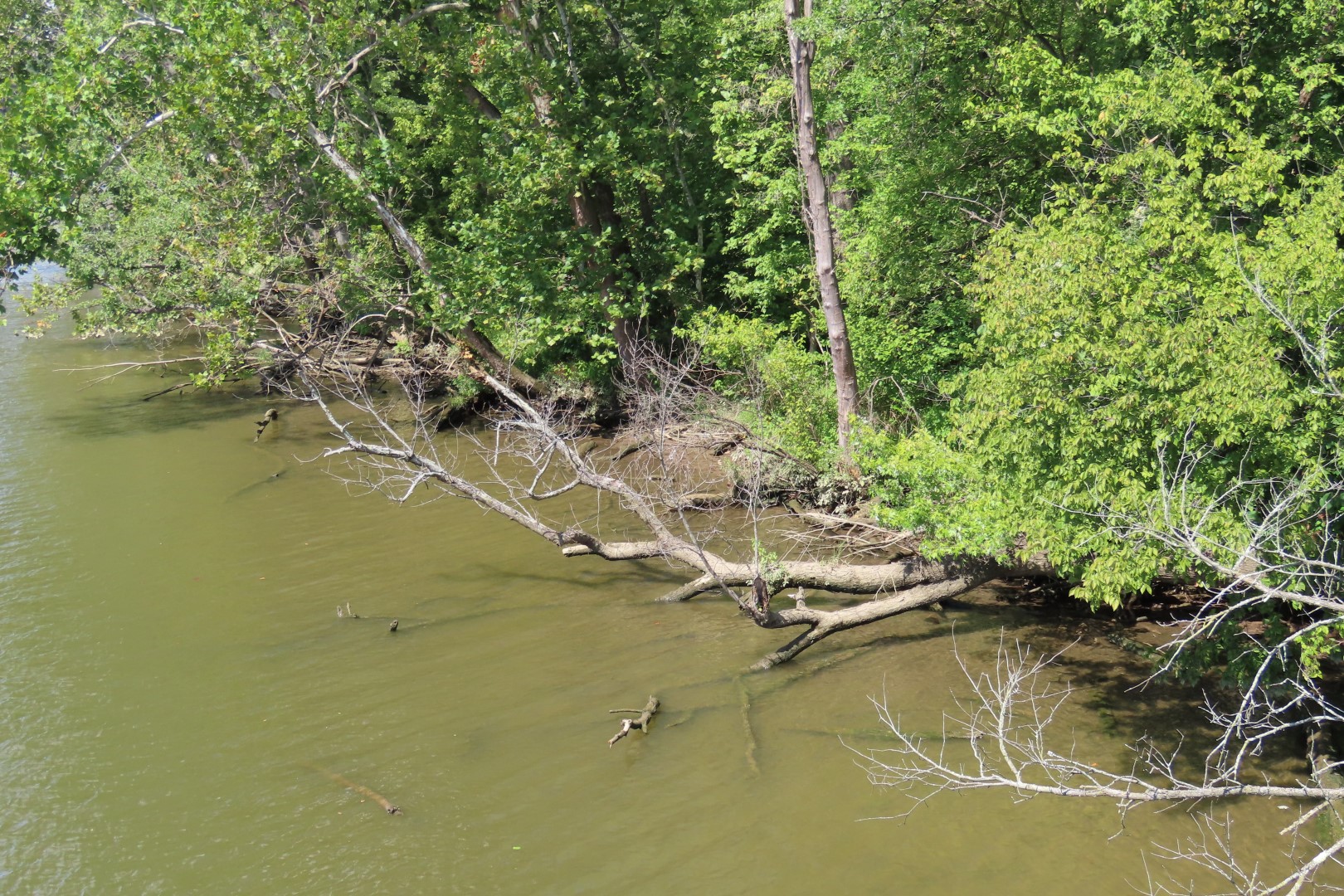 Theodore Roosevelt National Park DC 20 of 22 (#4565)
