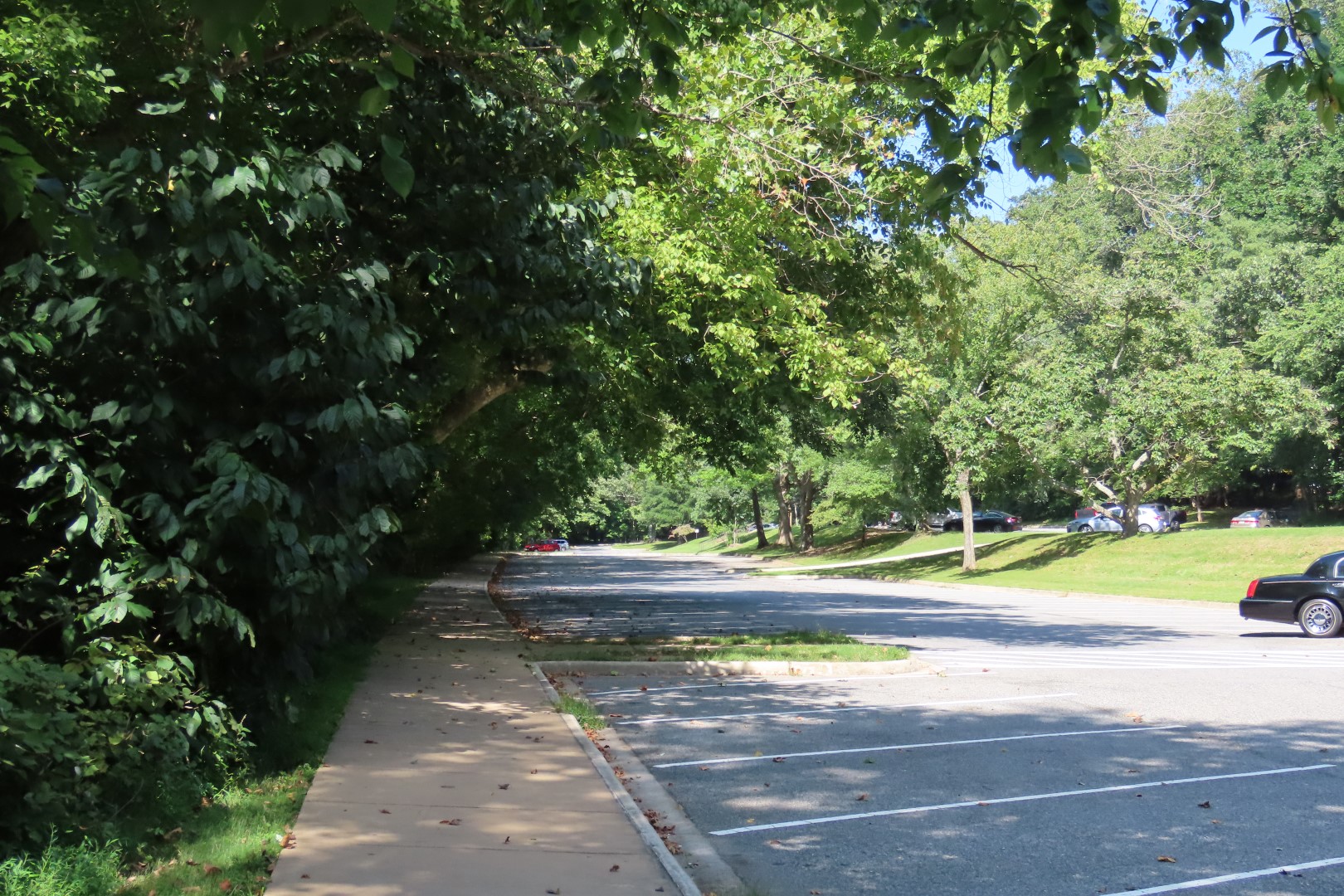 Great Falls area of Ohio Chesapeake National Park DC  2 of 14 (#4580)