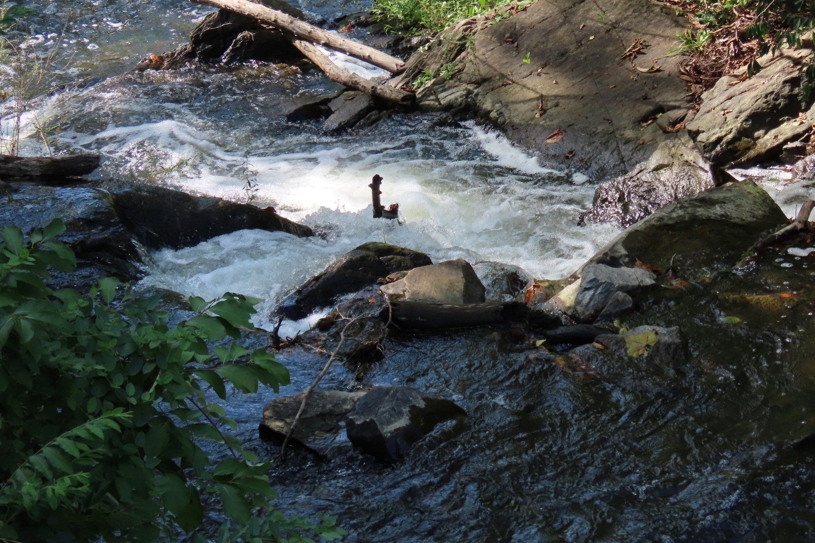 Great Falls area of Ohio Chesapeake National Park DC 14 of 14 (#4591)