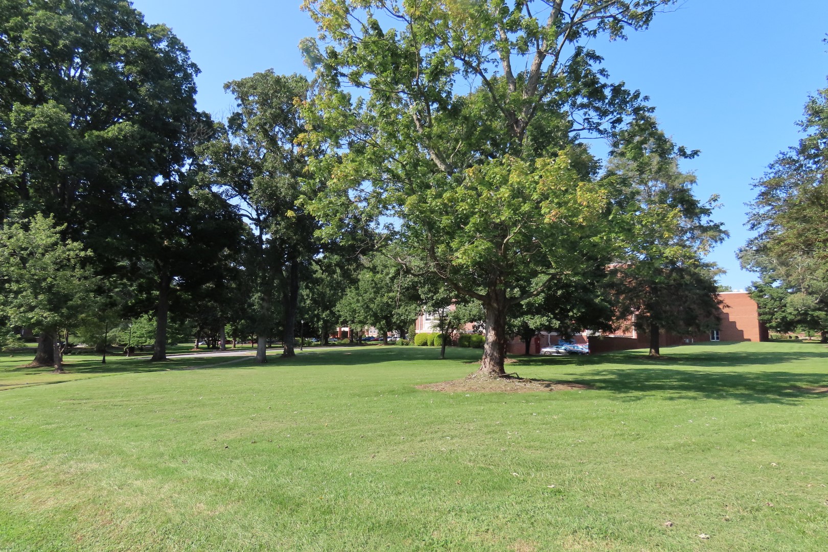 Lenoir Rhyne University in Hickory NC  3 of  4 (#4660)
