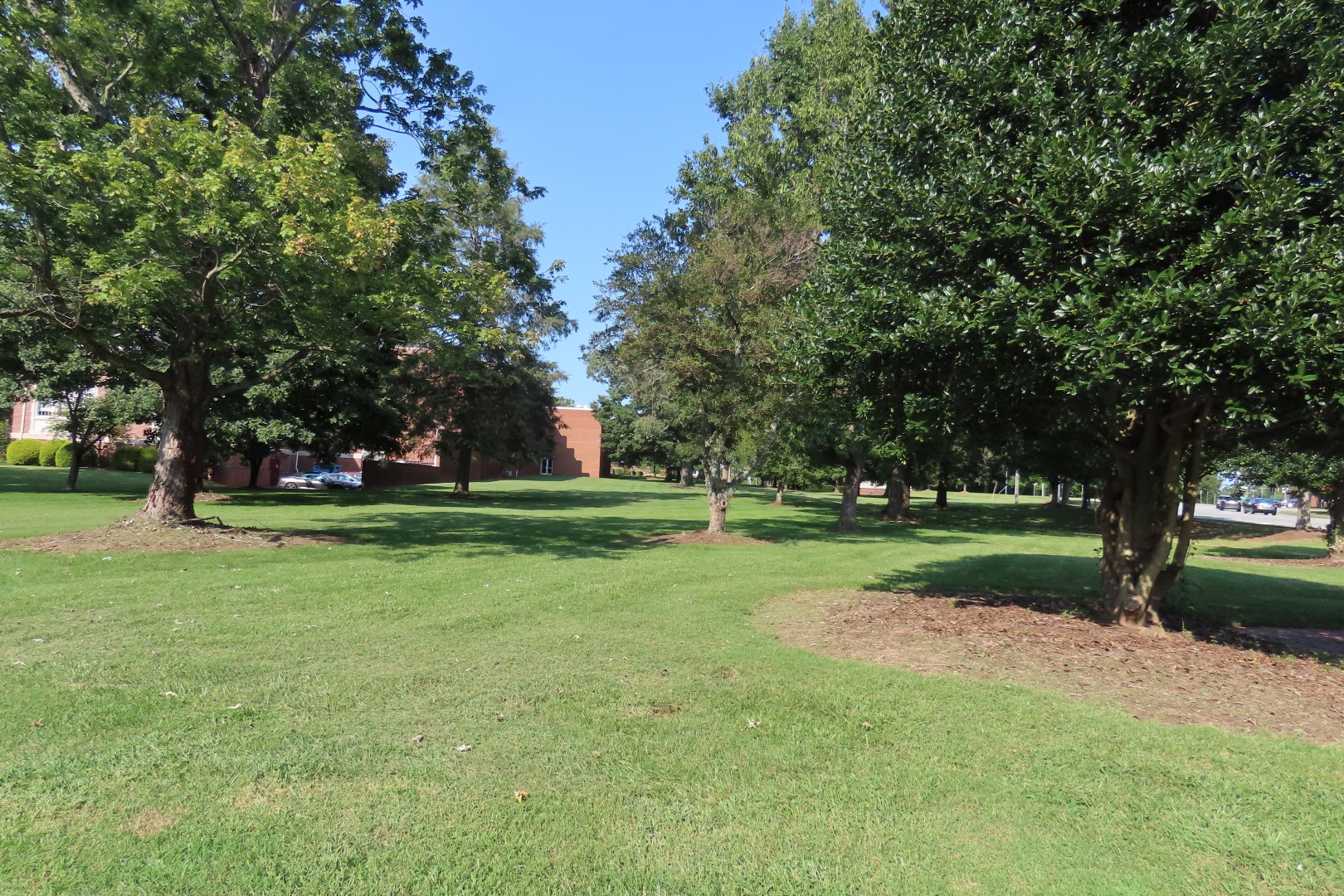 Lenoir Rhyne University in Hickory NC  4 of  4 (#4661)