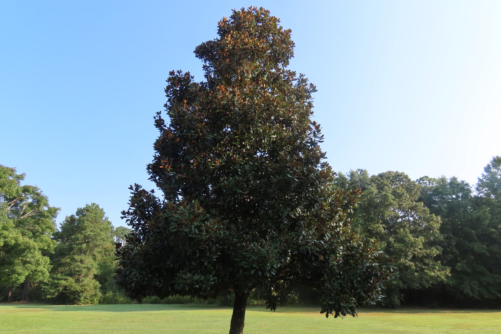 Cowpens National Park SC 14 of 17 (#4695)