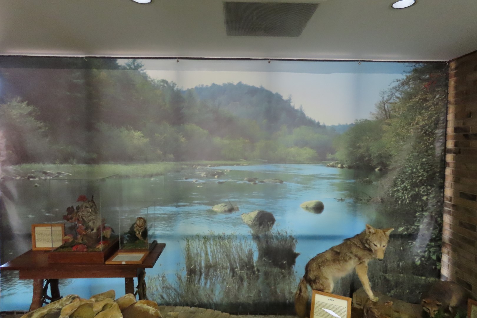 Obed National Park TN  4 of 11 (#4748)