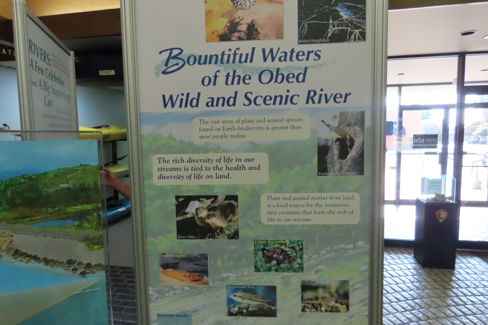 Obed National Park TN  5 of 11 (#4749)