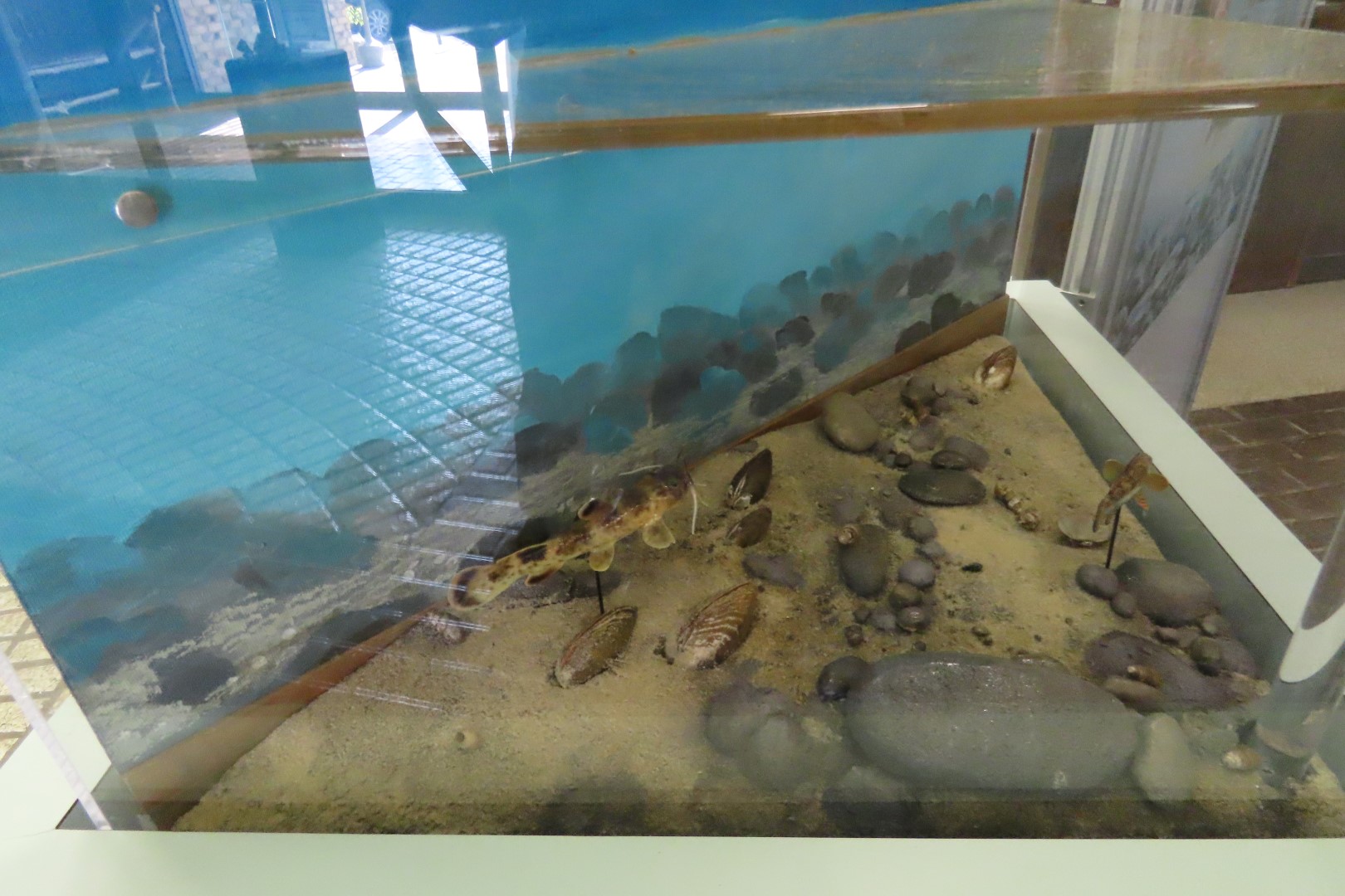 Obed National Park TN  9 of 11 (#4753)