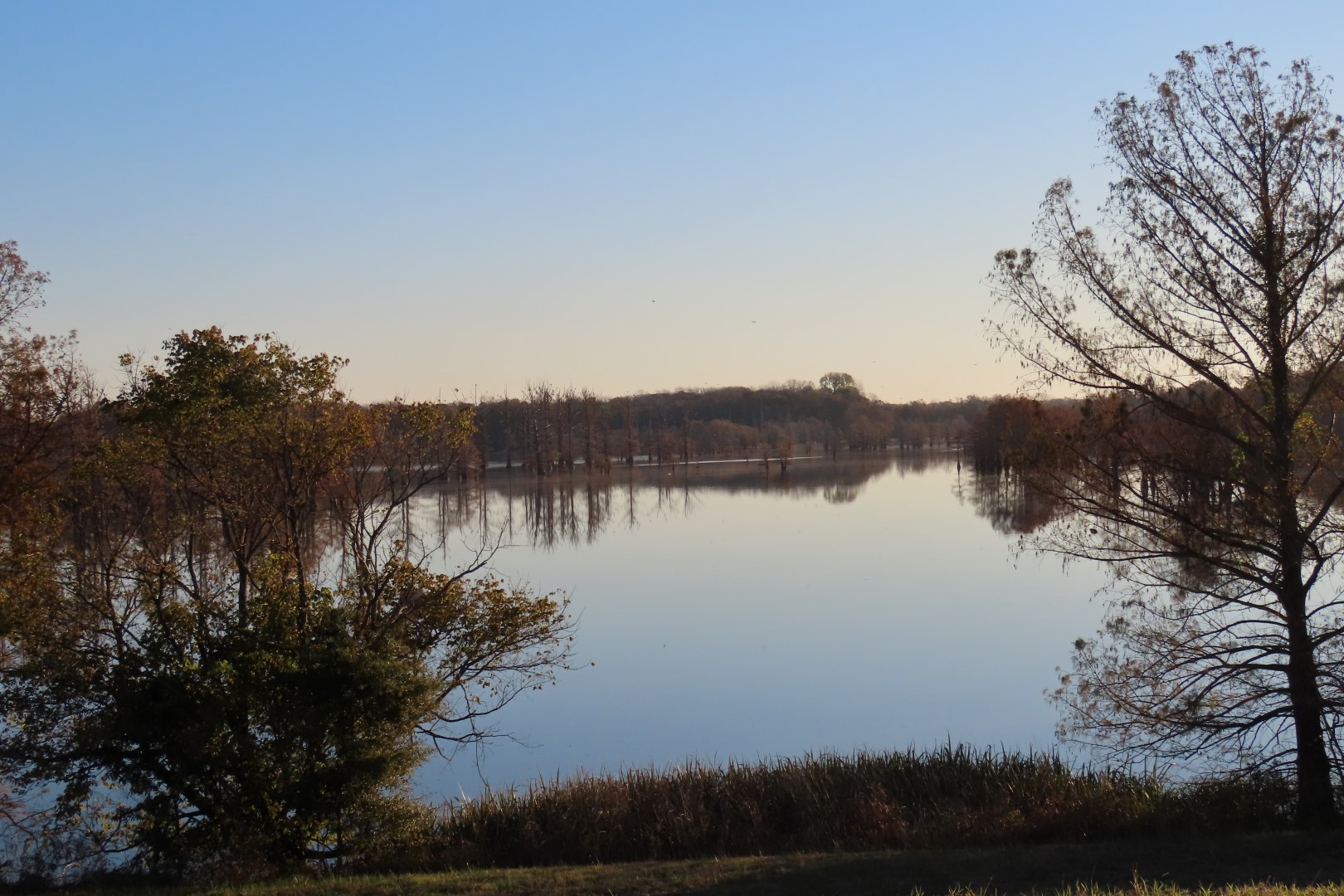 Arkansas Post National Park AR 18 of 20 (#4823)